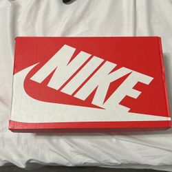 Women low top Nike Dunks