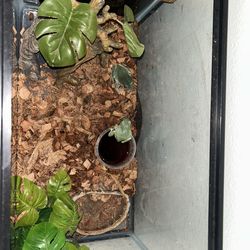 Aquarium and friends for sale!!!!