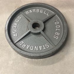 100 Lb Plates Two