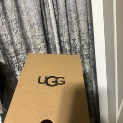Toddler Uggs