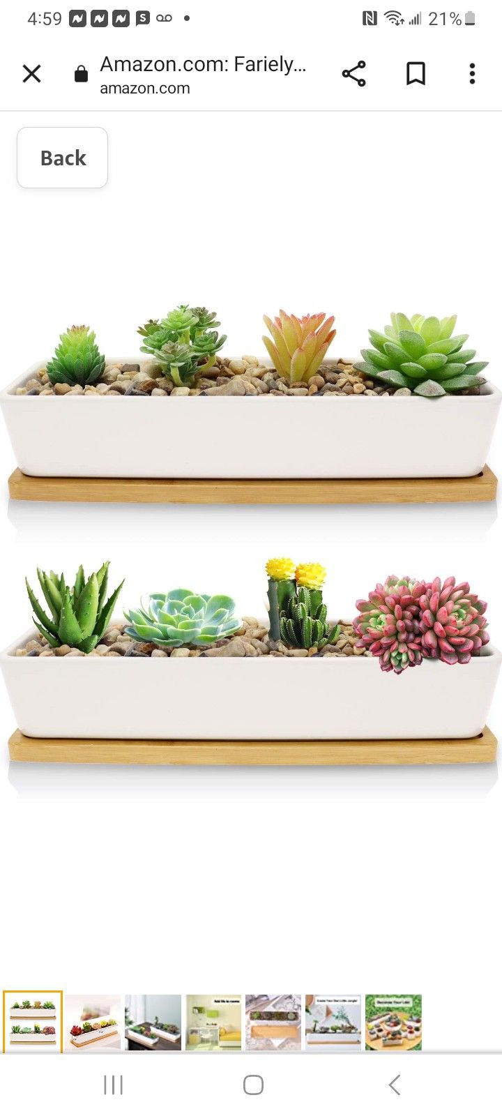 Flower Pot