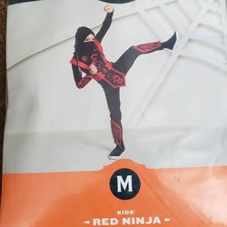 Red Ninja Costume Kids Hyde & Eek!