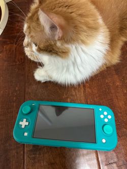 Switch lite