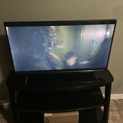 43 Inch Roku