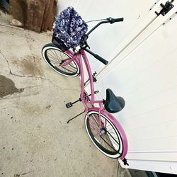 Beach Cruiser -26”