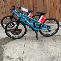 Schwinn Ranger 24" Mountain Bike - Blue