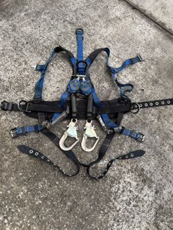 Safety Harness