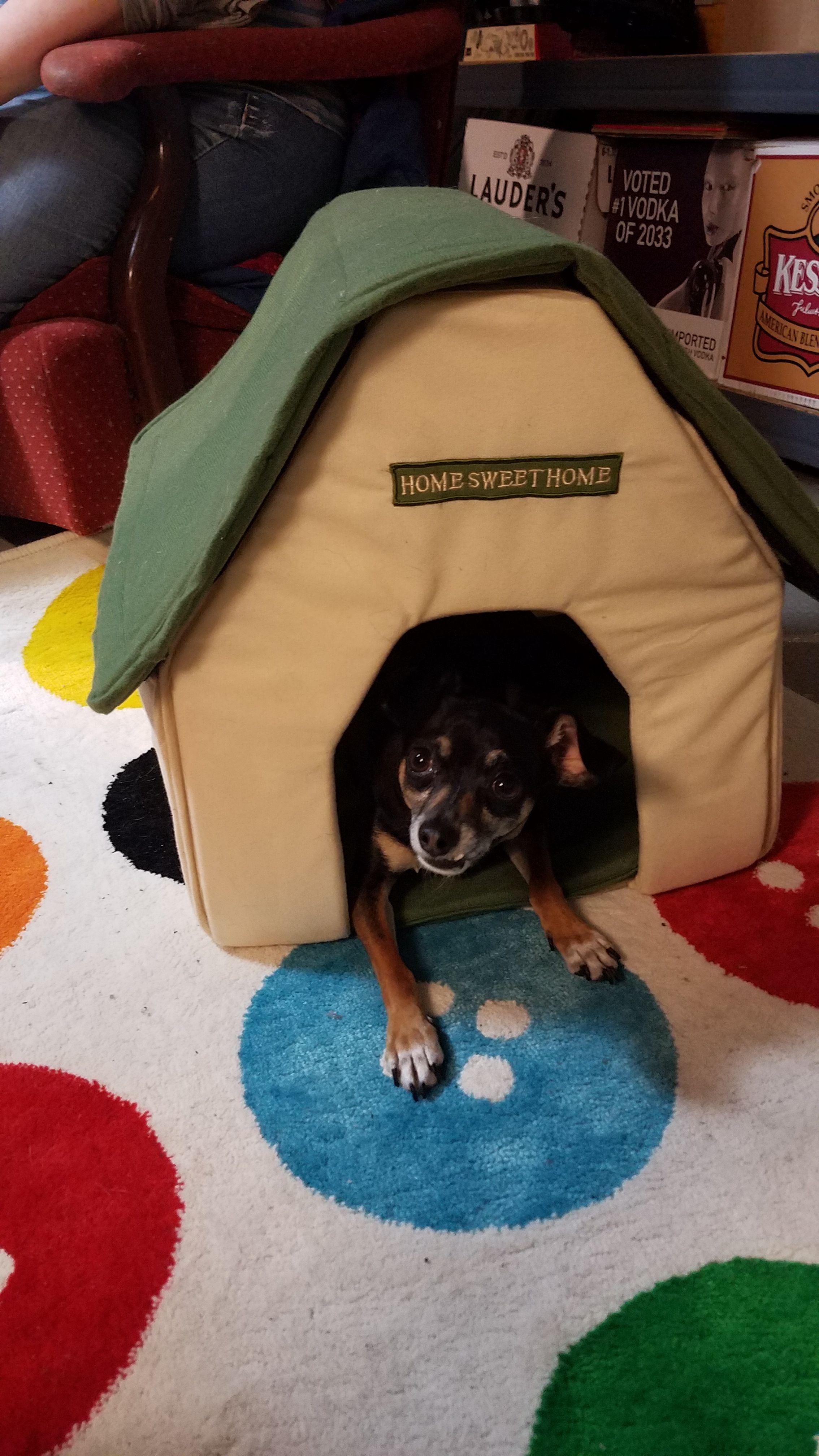 Tiny soft collapsible dog house