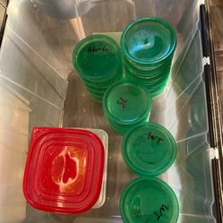 Axolotl Containers 