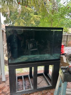 Fish tank
