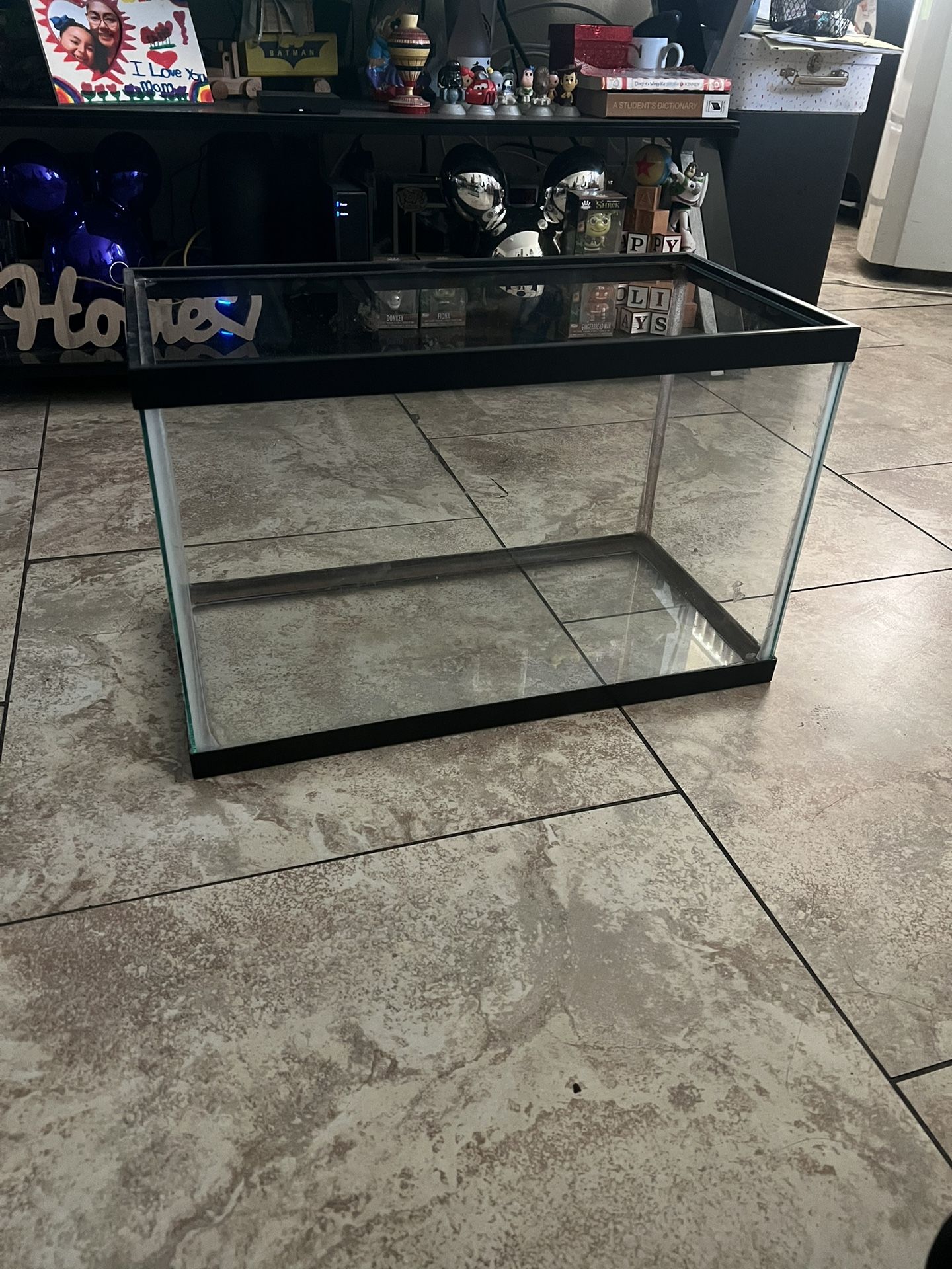 Fish Tank