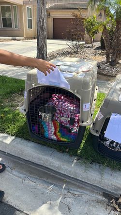 Two pet kennels