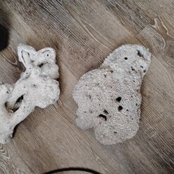 Coral Reef 🪸 2 Pieces Make Offer