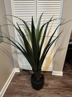 NEW Artificial Plants - YES IT’S AVAILABLE