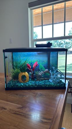 5 GALLON FISH TANK