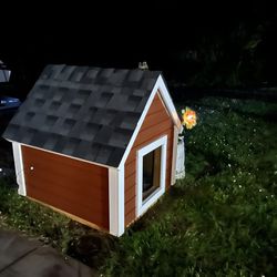 Insulated Large Dog house 