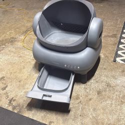 Smart Cat Box