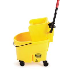 Mop Bucket and Two Mops