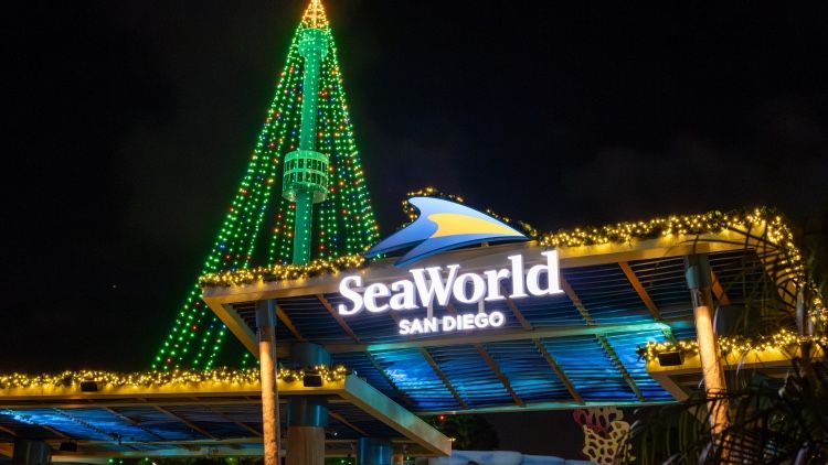 🎡🐬 SEA WORLD SAN DIEGO🐬🎡 DEAL 🎟️ DISCOUNT 🎟️