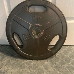 45lb Plate