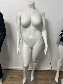 ManiquÃ