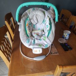 Baby Bouncer 
