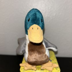   Ty Beanie Baby Jake The Mallard Drake Duck, 1(contact info removed) Rare Error Tags