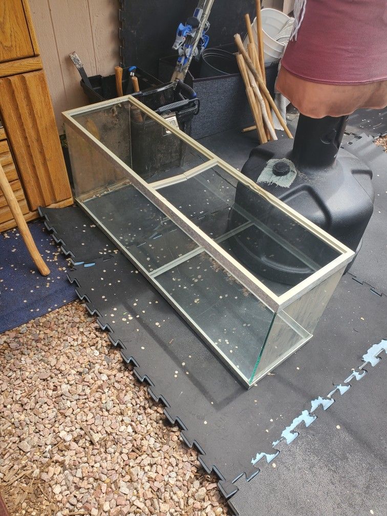 55 Inch Aquarium & Accessories