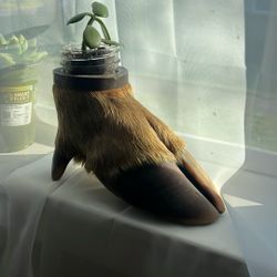 Vintage Taxidermy Elk Hoof