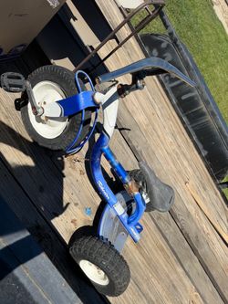 Trek Tricycle