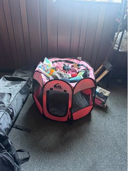 Cat Stuff