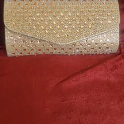 Evening Hand Bag