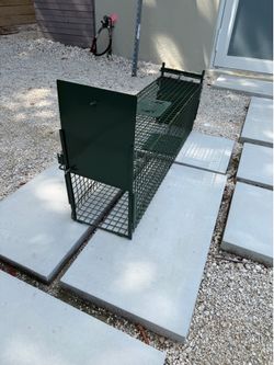 Humane trap