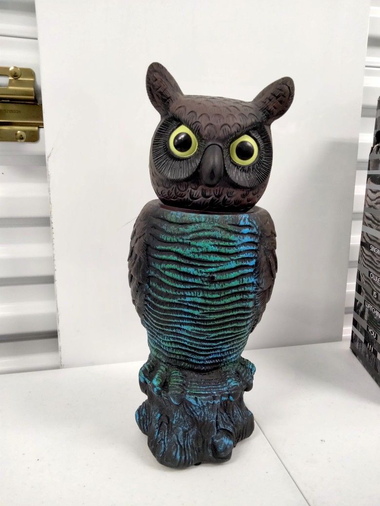 Motion Activated Singing Owl
