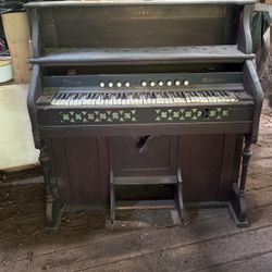 Organ