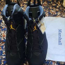 DS Jordan 6 DMP Size 13 $220