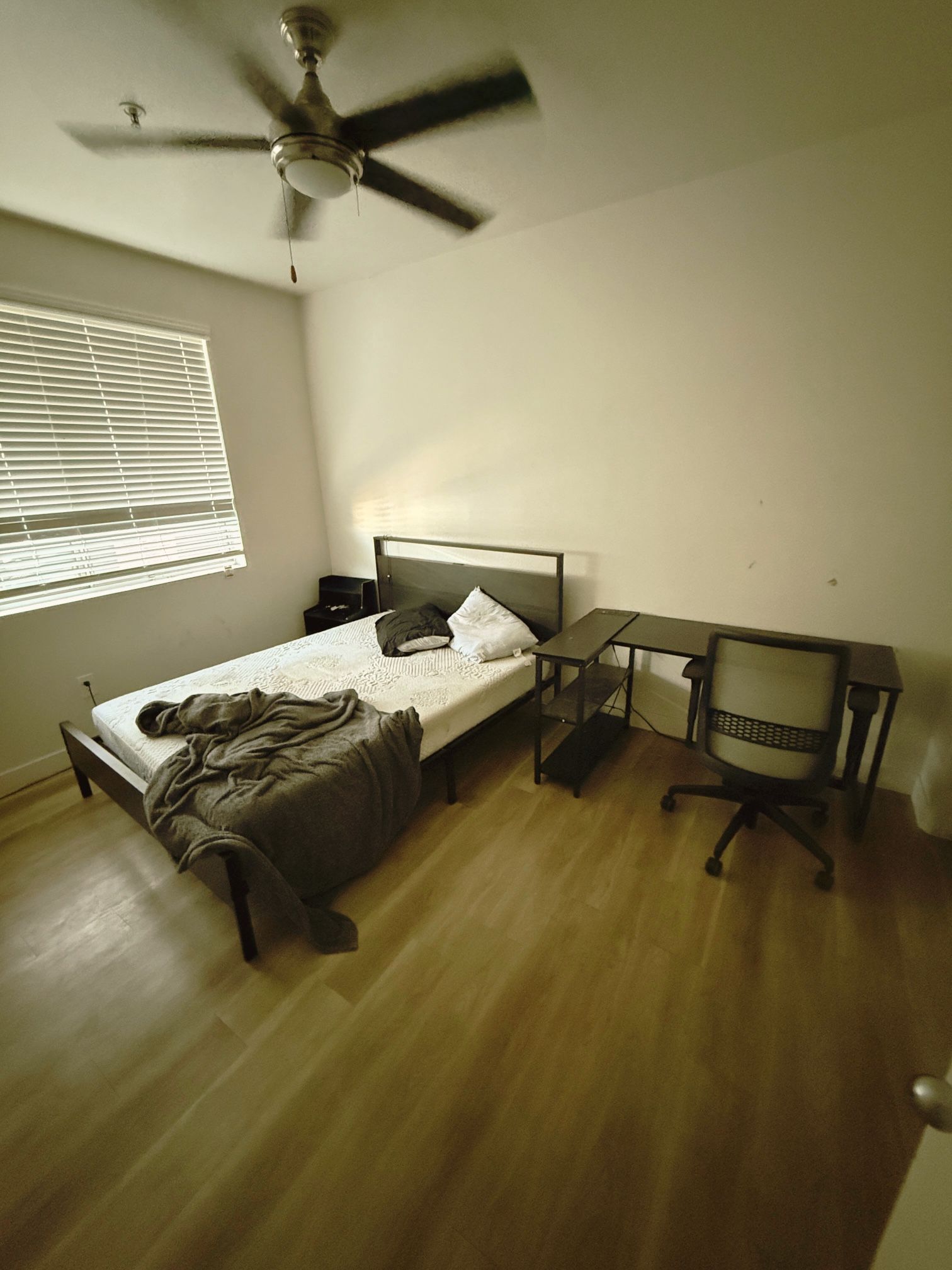 Bed, Desk And Chair 24 Hour Sale!