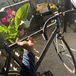 Leader 721, Fixed Gear Track Bike 