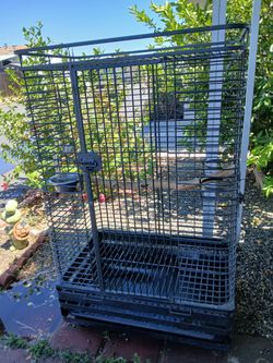 XL bird cage