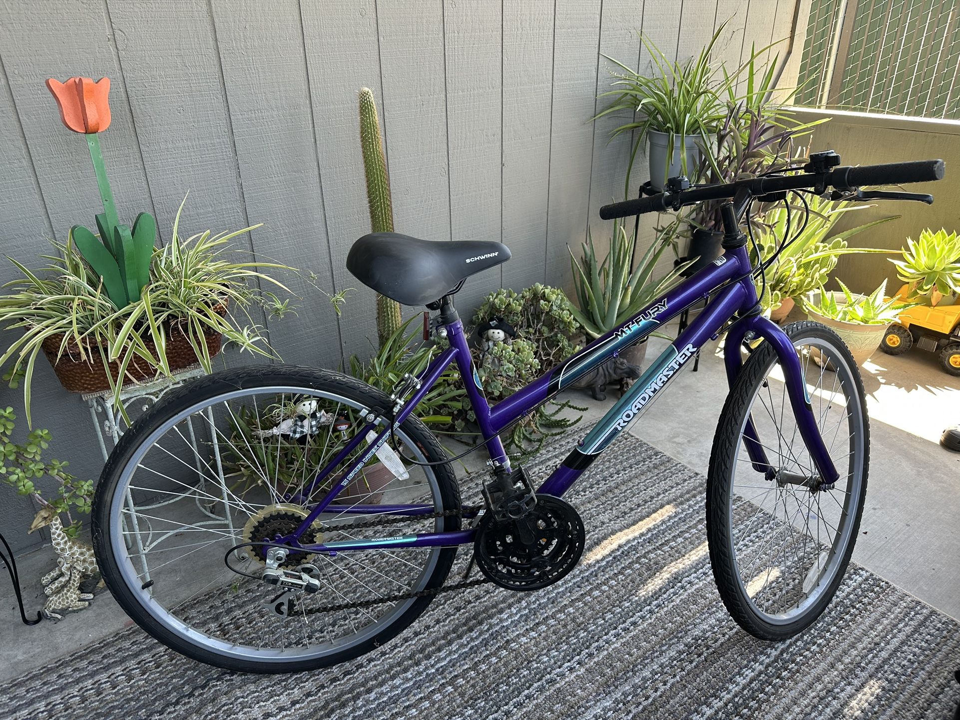 Bike Road master