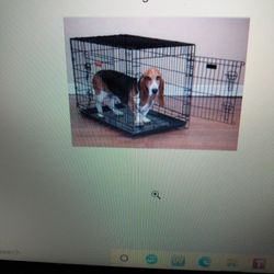 New Medium Cage, Crate, Kennel For Dog/Pet