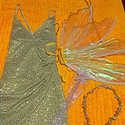 Tinkerbell Costume 