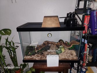 Terrerium