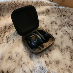 Beats by Dr. Dre Powerbeats Pro In Ear Wireless Headphones
