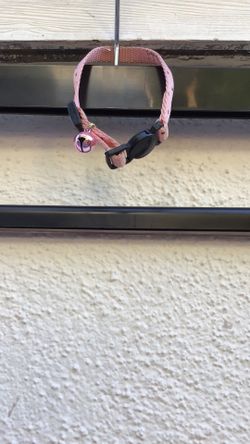Cat/Small Dog Collar Pink With Polka Dots & Bell