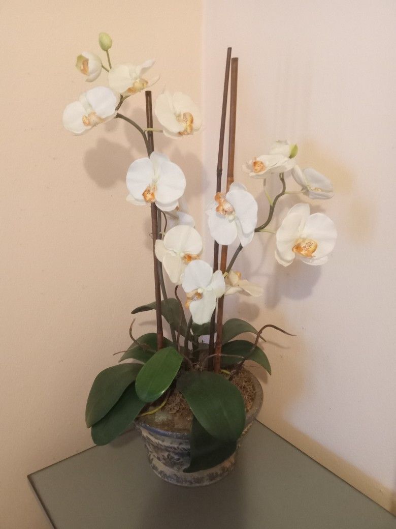 Bella Orquídea artificial 26 pulgadas de alto 