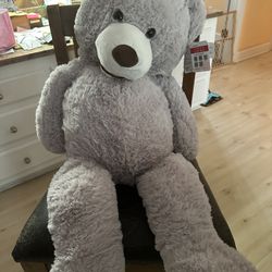 Grey Big Teddy Bear 