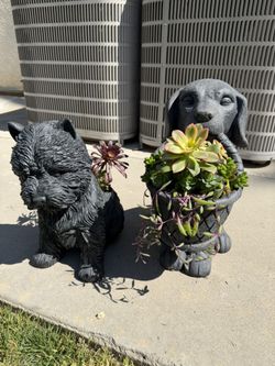 One Of A Kind, Large, Succulent, Dog Planters