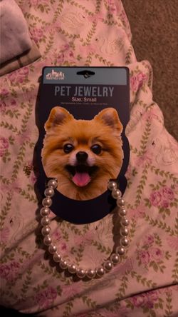 Pet necklace