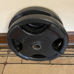 Pair Body Solid 100-pound Weights 